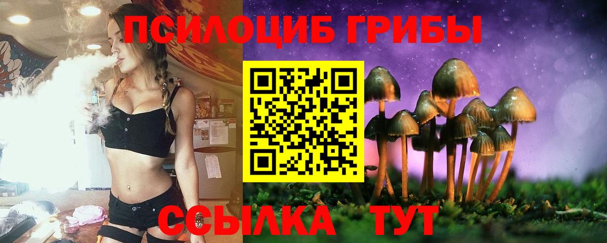 Альметьевск  Галлюциногенные грибы Magic Shrooms  Вход с VPN 